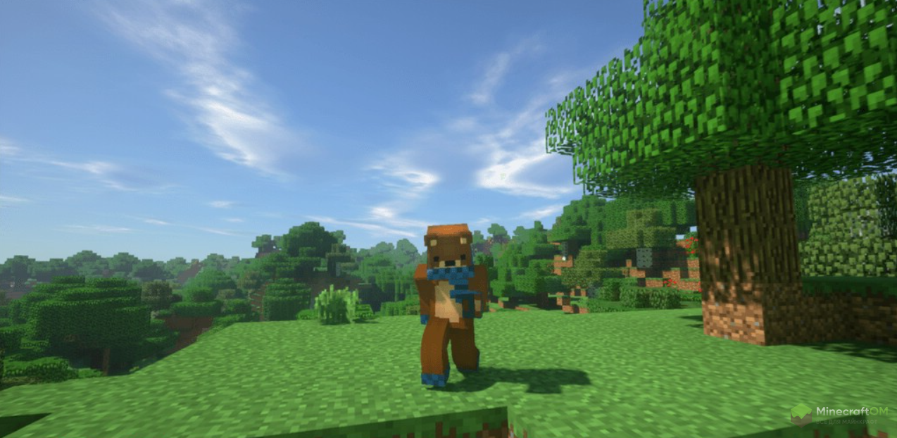 Animated Player Mod       162 164  172 1710    Minecraft  MCBase