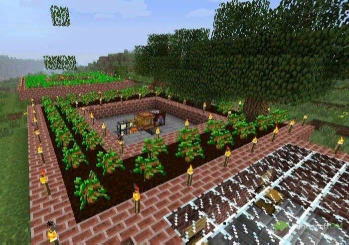 Ферма из мода Forestry