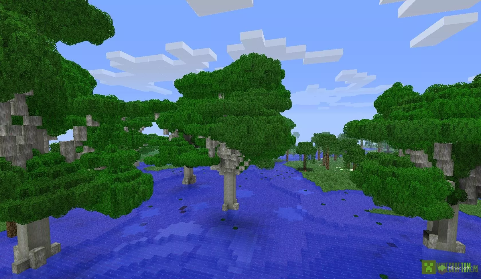 Один из биомов, которые добавляет мод