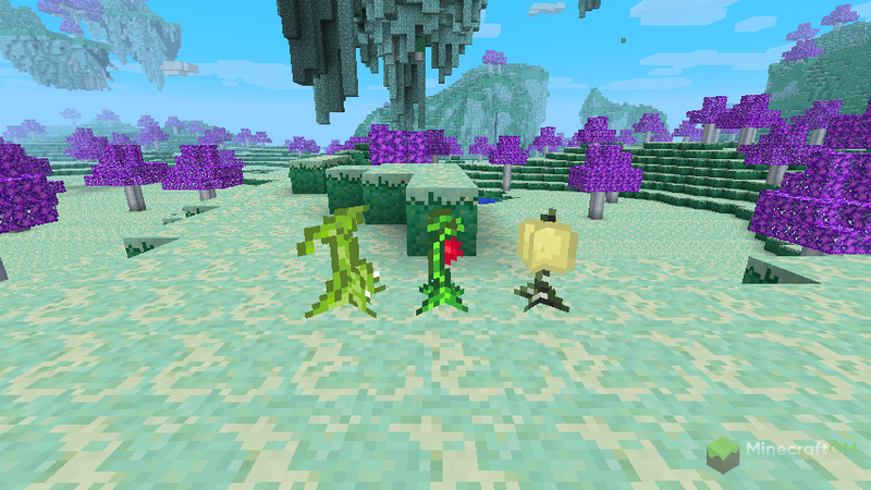 Растения из мода