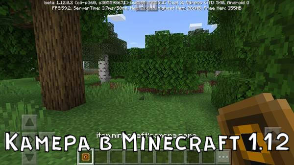 Камера в игре