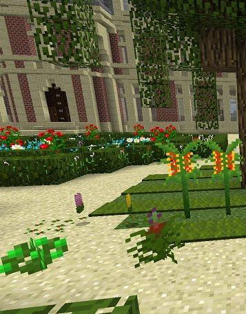 Некоторые новые растения