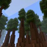 биом из мода Biomes O’ Plenty