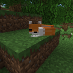 Спящая лиса