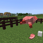 Выпадение такого мяса