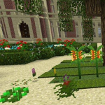 Некоторые новые растения