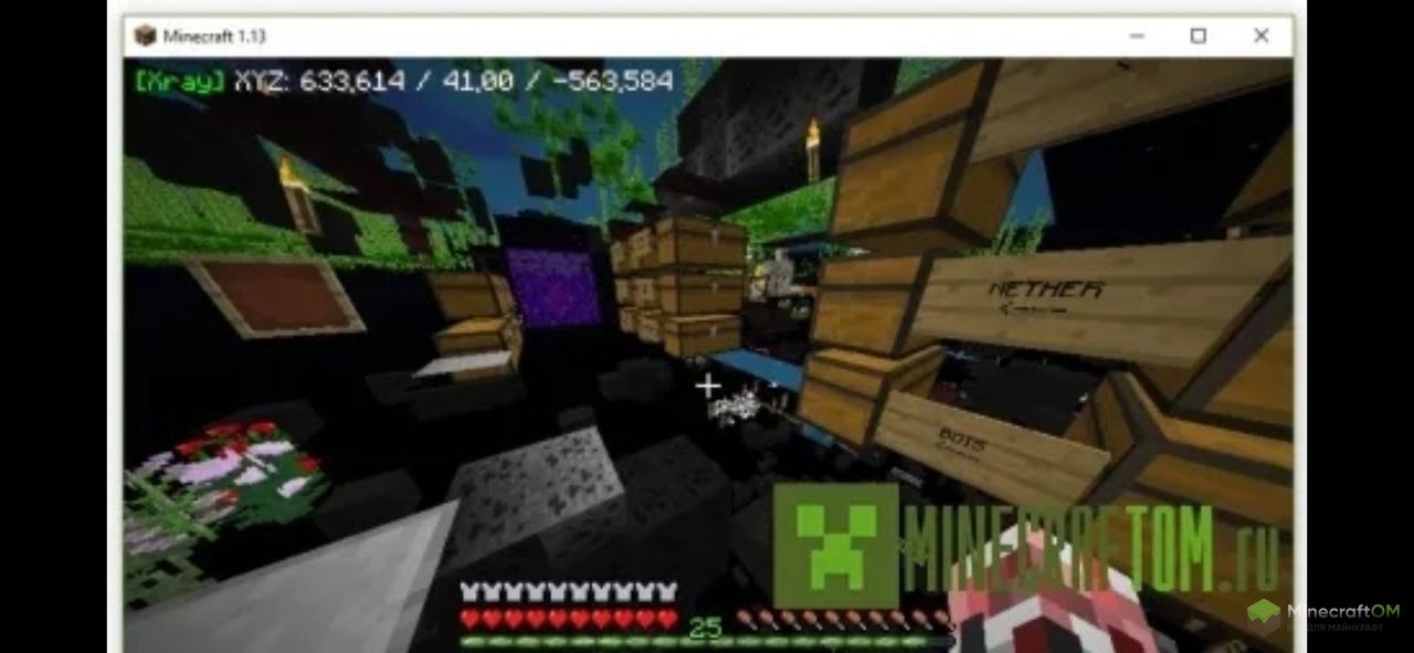 Возможности мода Rift XRay.