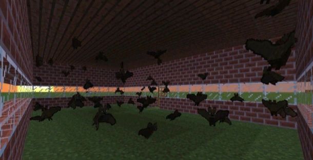 летучие мыши