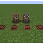 Собаки и миски