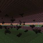 летучие мыши