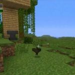 летучая мышь