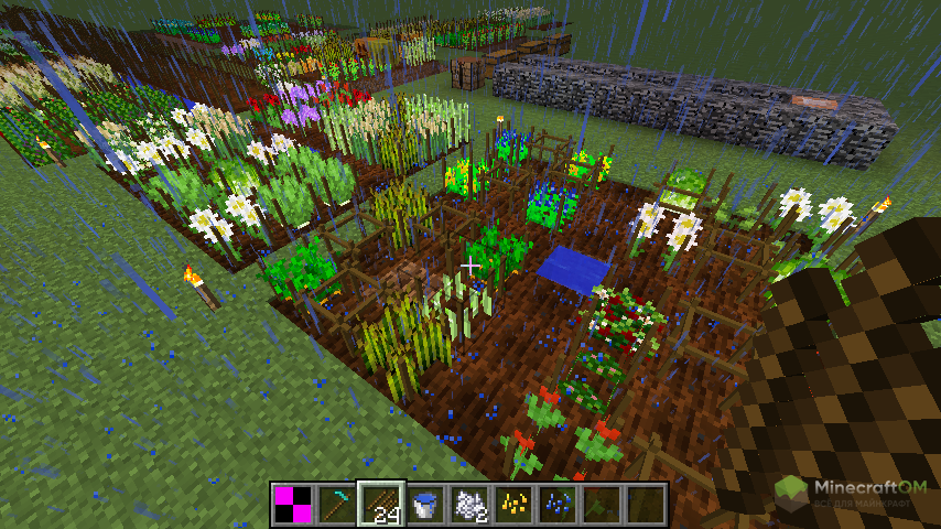 Новые растения