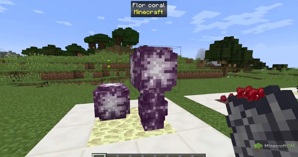 Выращивание