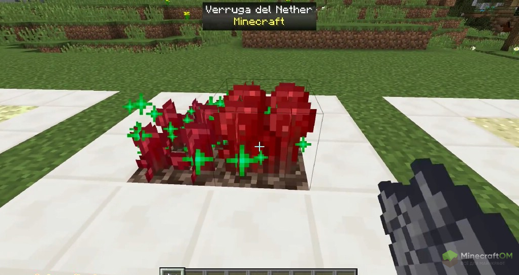 Выращивание