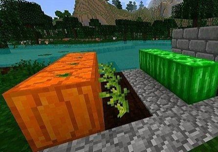 Текстур пак Happy Charlotte