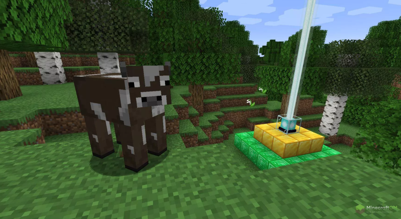 Эффект на животных