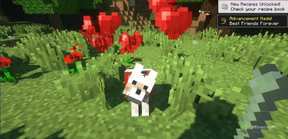 Приручение