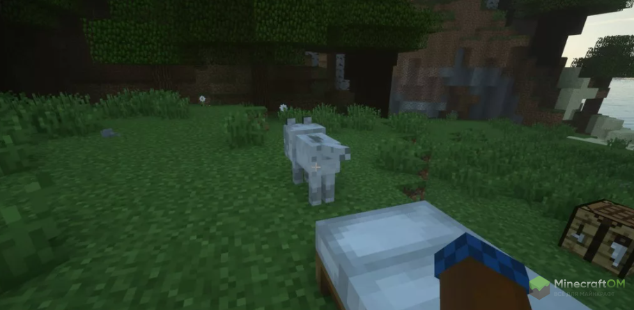 Воскрешение