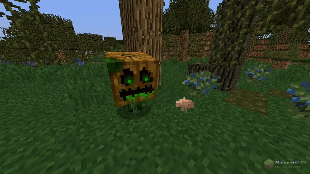 Живая тыква