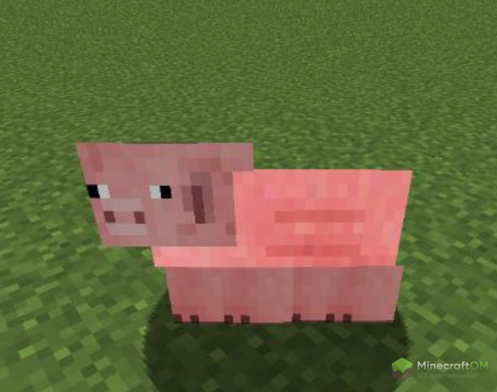 Плоская свинья