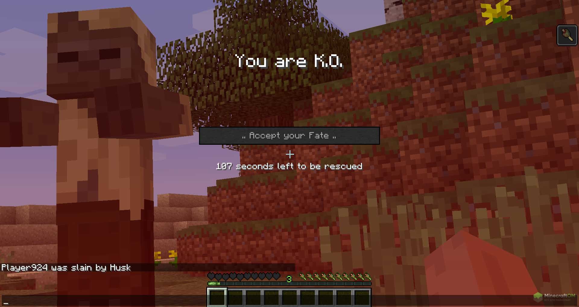 Возможность поднять игрока