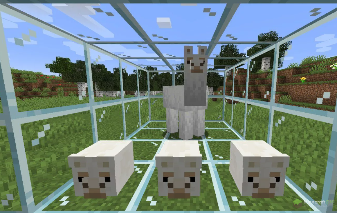 Голова ламы