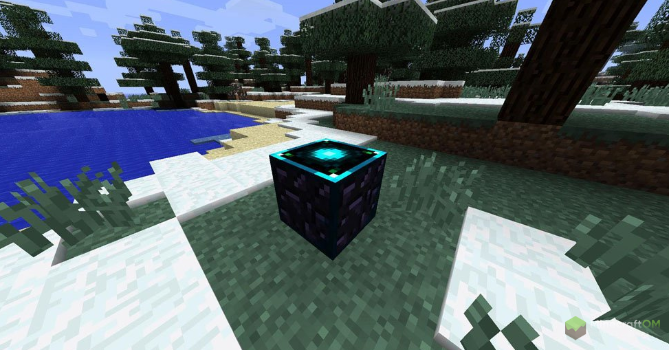 Клонирование