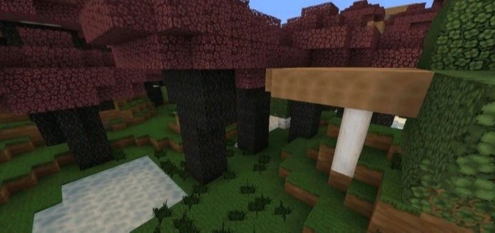 Текстуры Wolfhound Asian