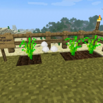 Выращивание риса