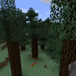 Индикаторы