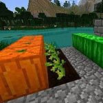 Текстур пак Happy Charlotte