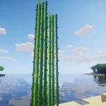 Рост тростника