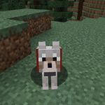 Эффект на животных