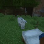 Воскрешение