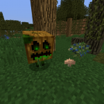 Живая тыква