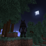 некоторые предметы мода