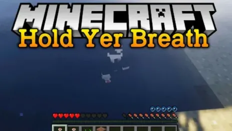 Мод на пополнение воздуха для Майнкрафт 1.16.1/1.12.2 (Hold Yer Breath) Мод на пополнение воздуха для Майнкрафт 1.16.1/1.12.2 (Hold Yer Breath)