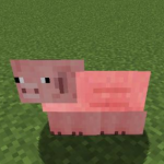 Плоская свинья