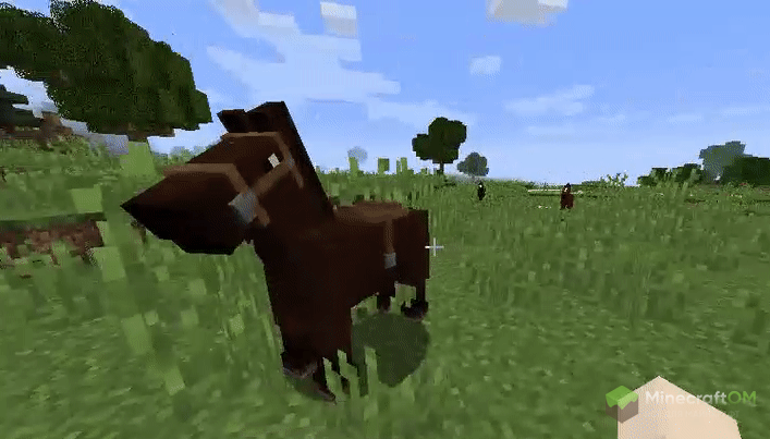 Призыв лошади