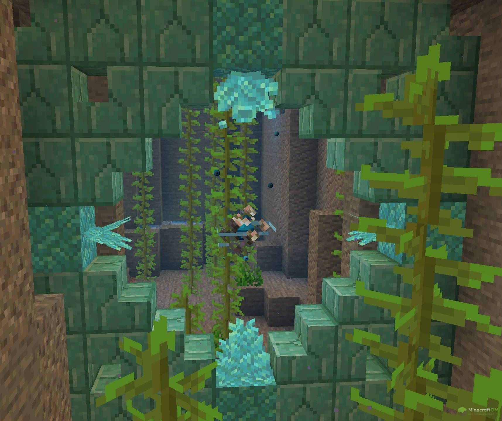 Новые растения