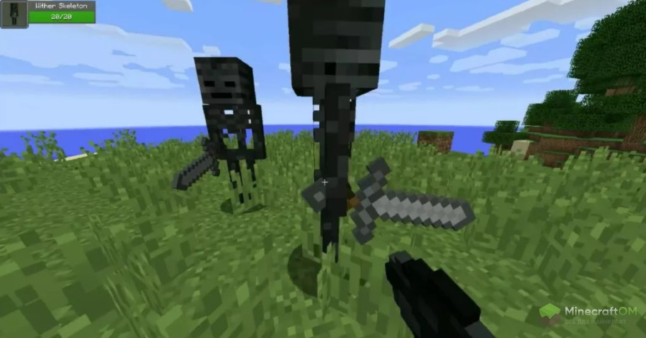 Визер-скелеты