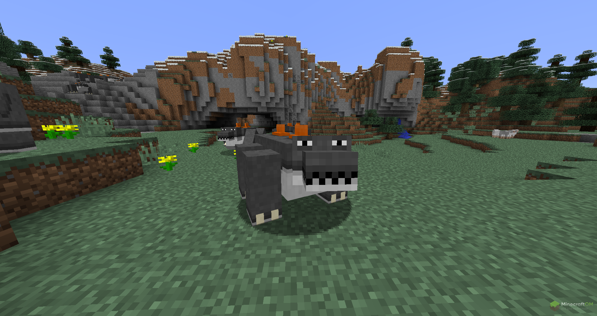 Новое животное