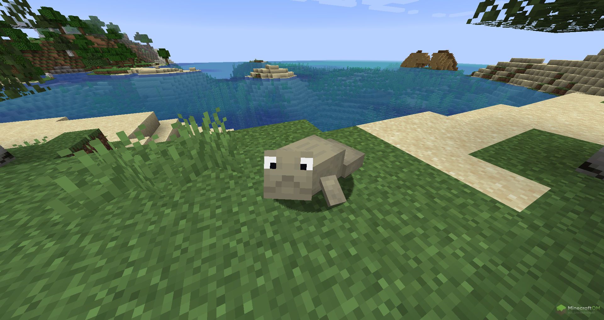 Новое животное