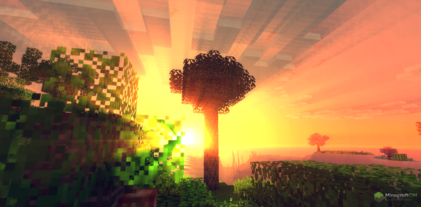 Новое дерево