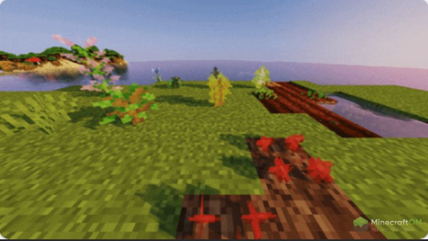 Посаженные саженцы