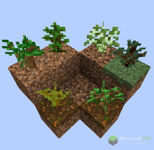 Посаженные саженцы