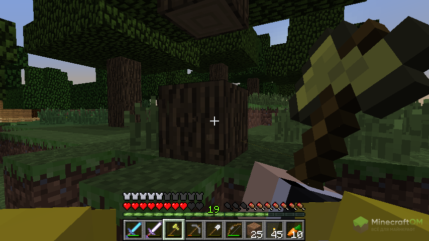 Вид от первого лица