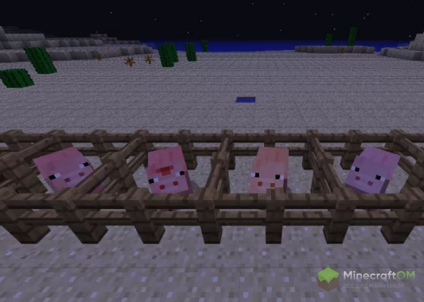 Кормление животных