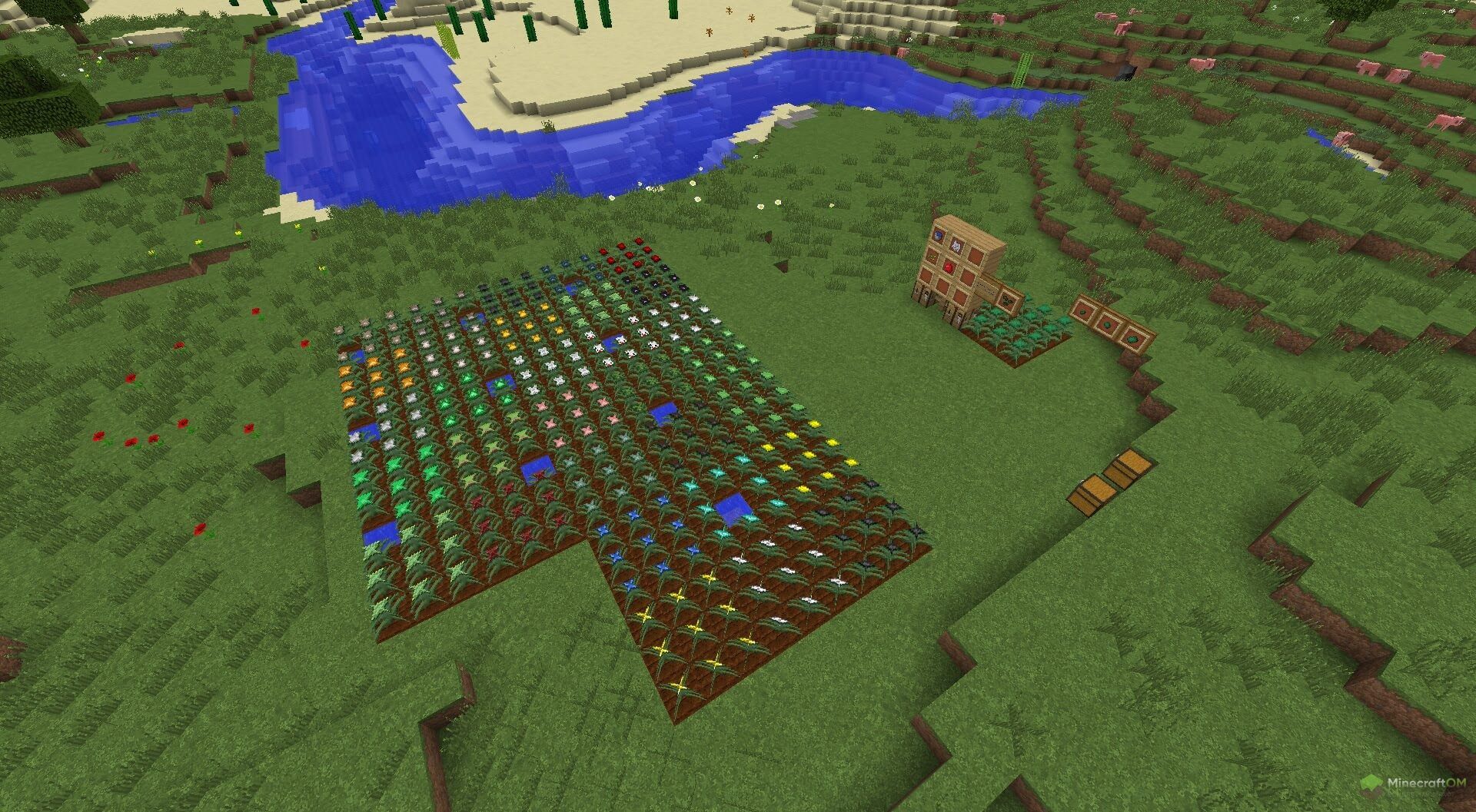 Новые растения