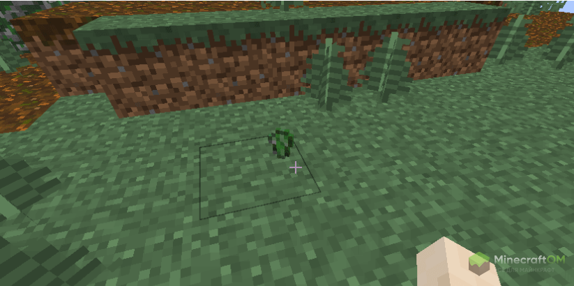 Кусочек крипера